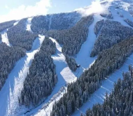 Belvedere Club к302 아파트 *