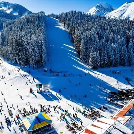 아파트 Belvedere Club к302 반스코