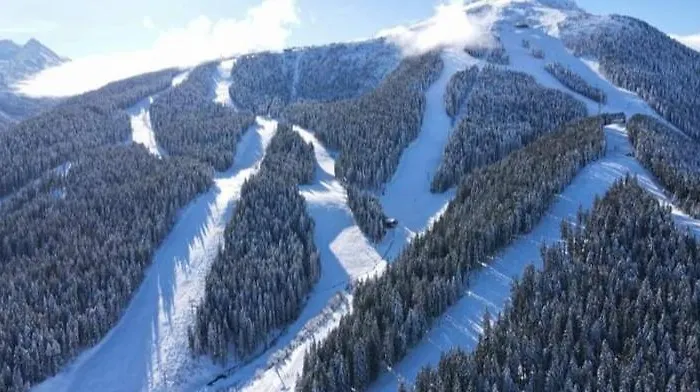 Belvedere Club к302 Apartment *